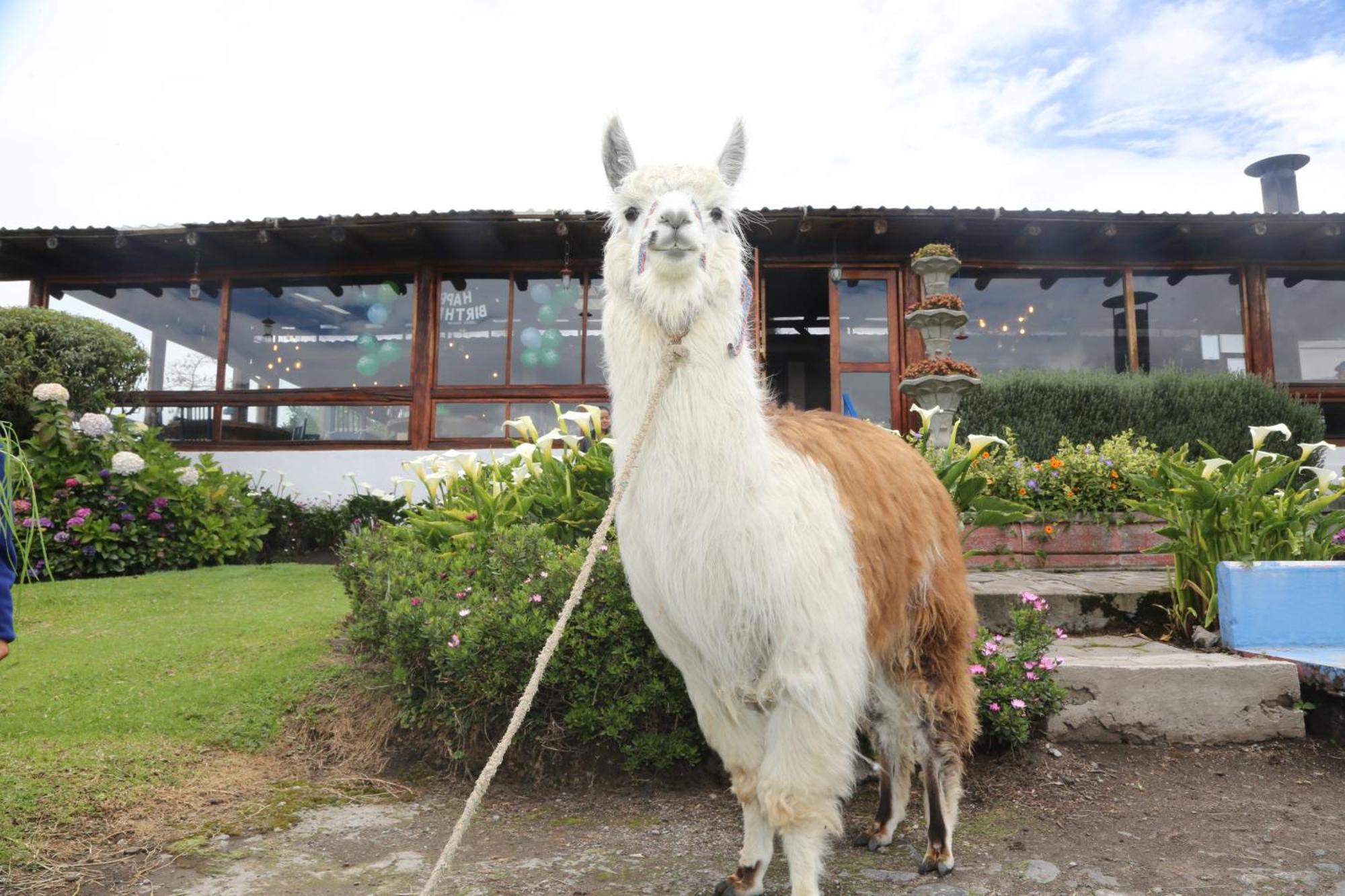 Hacienda El Rejo Villa Machachi Buitenkant foto