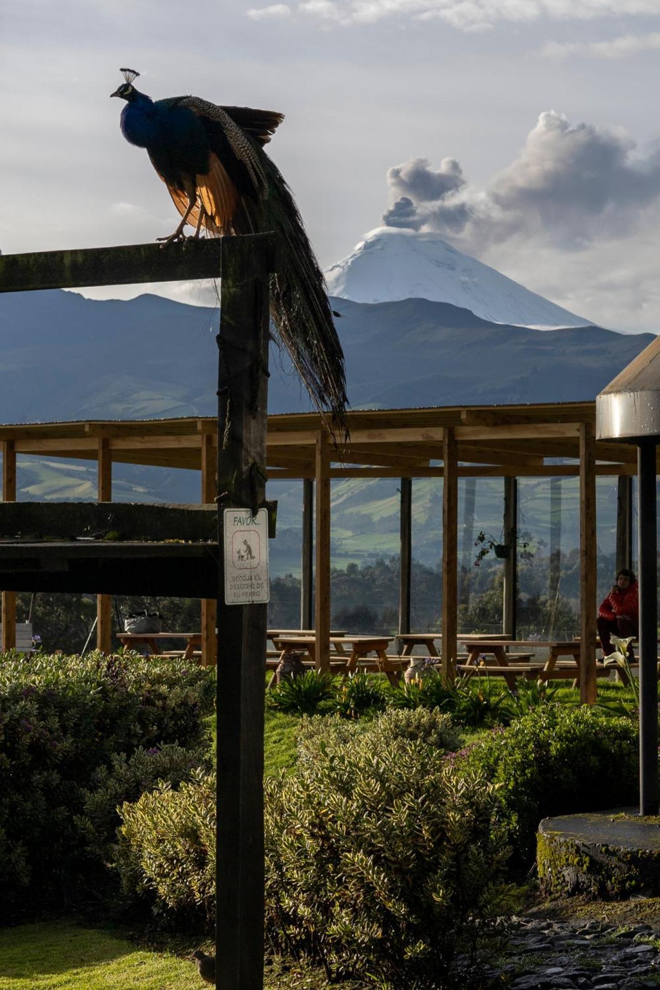 Hacienda El Rejo Villa Machachi Buitenkant foto